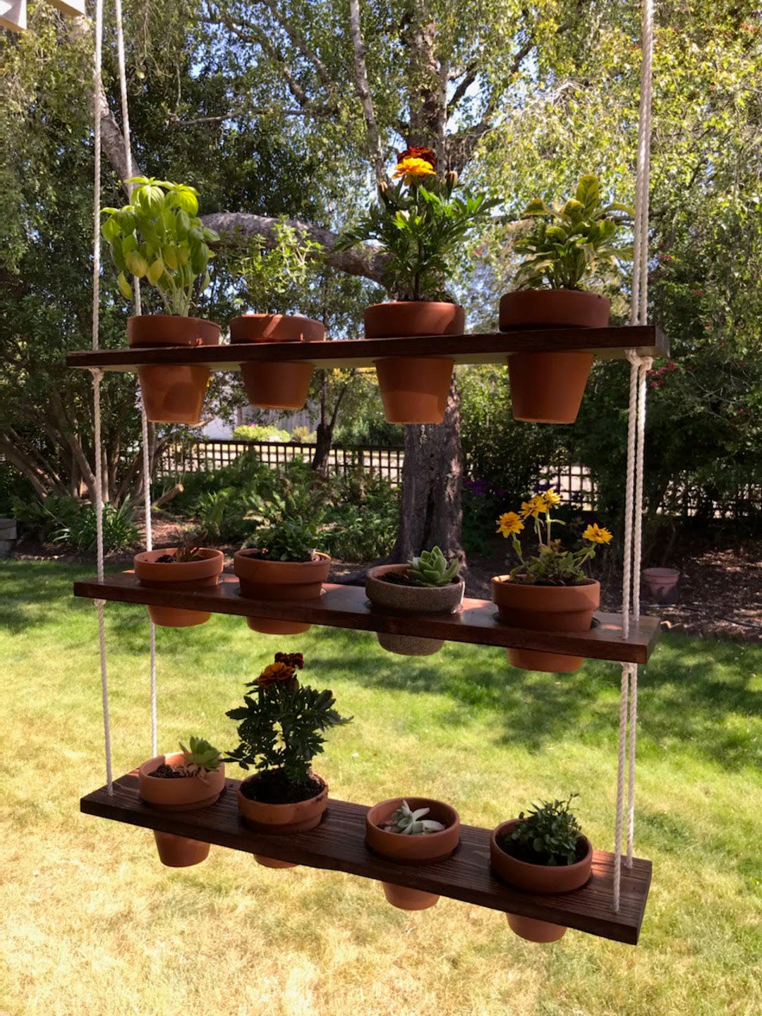 Hanging Planter Etsy