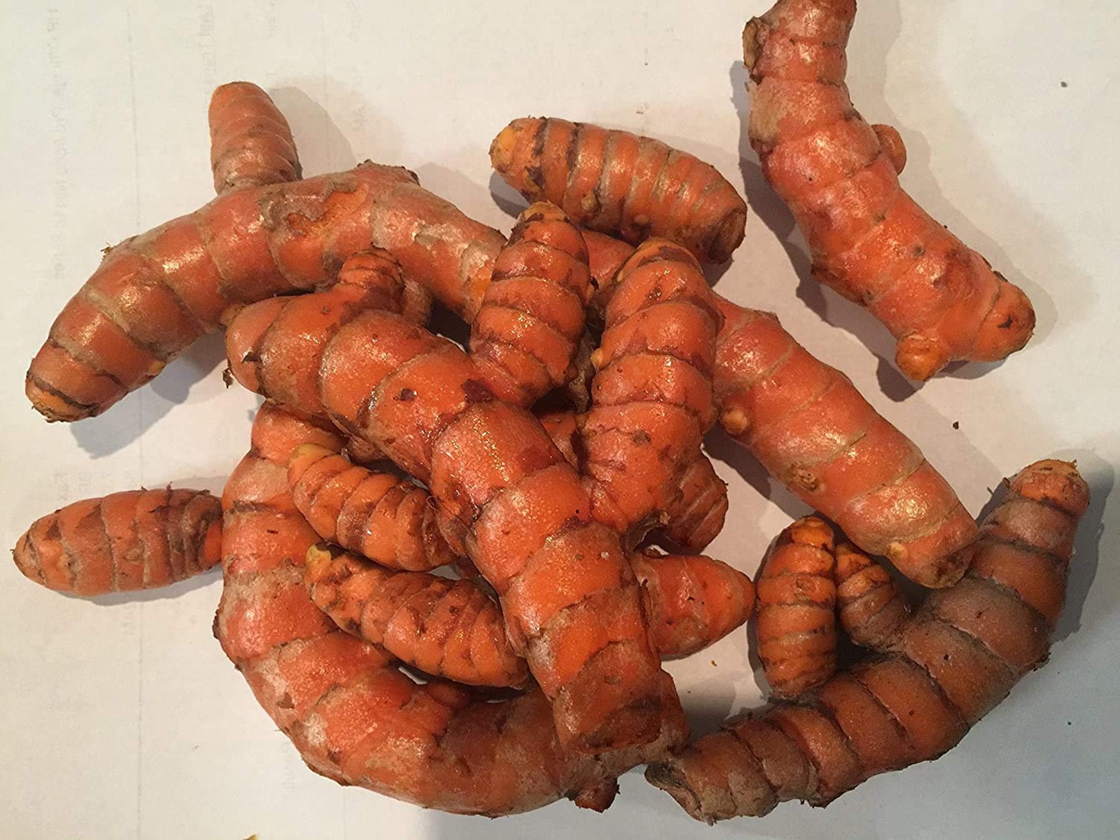 1 lb Organic Fresh Turmeric Root Etsy