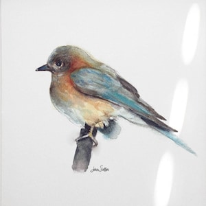 Eastern Bluebird Print, Bluebird Painting, Bird Art, Watercolor, Home Decor