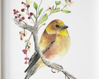 American Goldfinch Art Print, American Goldfinch, Goldfinch Art, American Goldfinch Wall Decor, Home Decor Songbirds, Bird Art Print