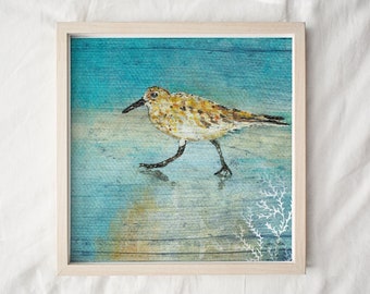 Sandpiper Coastal Art Print: Beach Bird Wall Decor