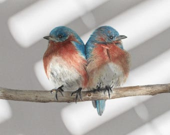 Stampa ad acquerello di due uccellini azzurri / Opera d'arte raffigurante un uccello azzurro orientale / Regalo per una coppia di uccelli / Decorazione murale a tema natura