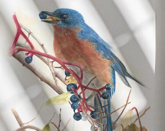 Stampa ad acquerello di un uccellino azzurro / Decorazione murale autunnale con uccelli, arte naturalistica