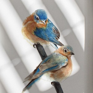 Bluebird Pair Watercolor Print | Eastern Bluebird Wall Art
