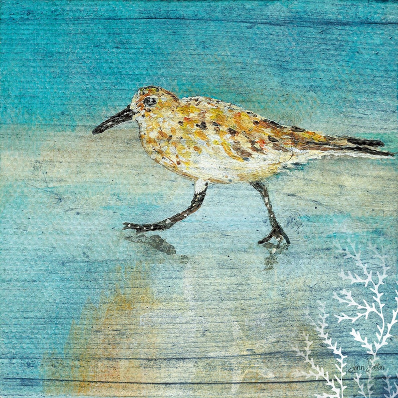 Sandpiper Coastal Bird Beach Art Print, Sandpiper, Sandpiper Art, Coastal Bird Decor, Sandpiper