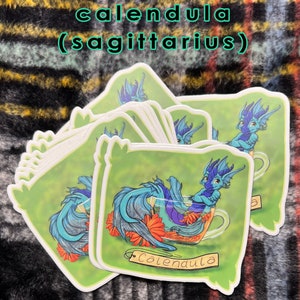 Vinyl stickers herb dragons virgo libra scorpio sagittarius capricorn aquarius zodiac herbal herbalist spice fantasy