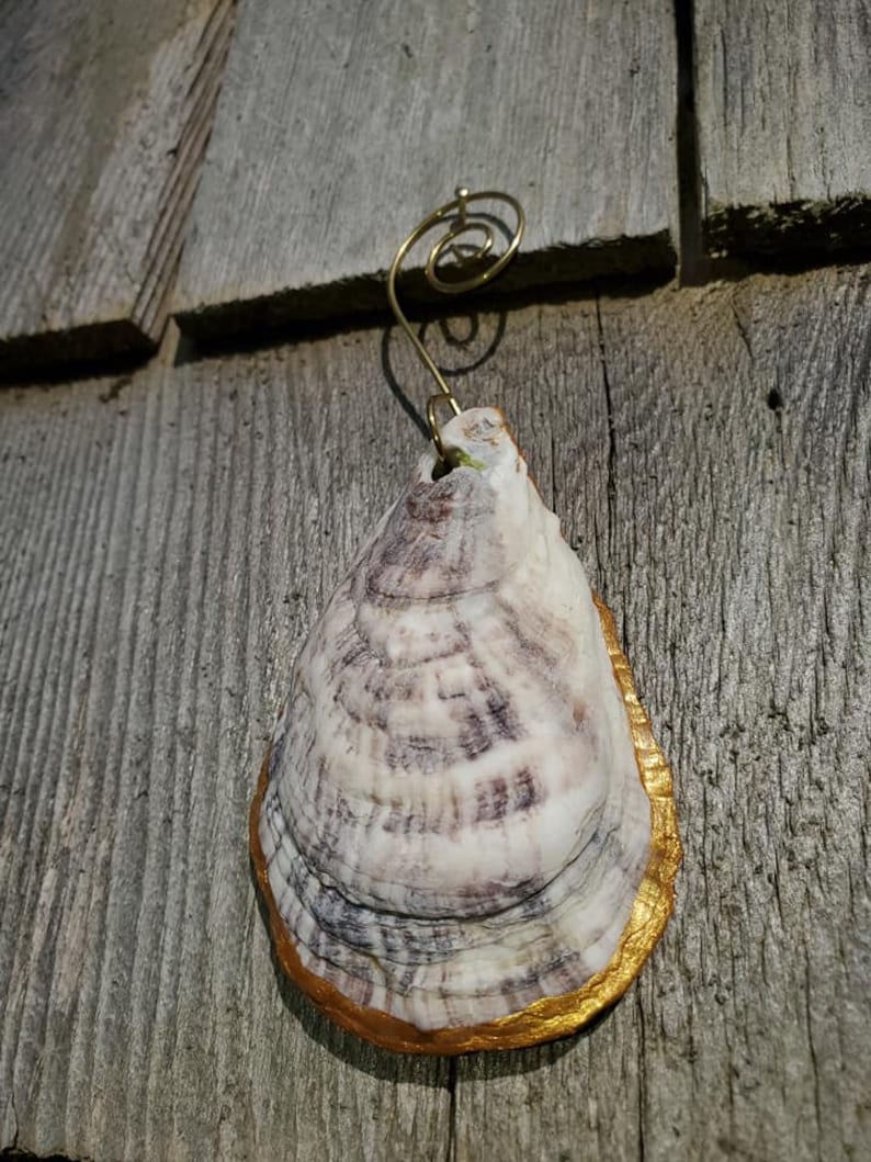 Oyster Ornaments Nautical Shells Gifts Spring mothers days *45 Cape Cod