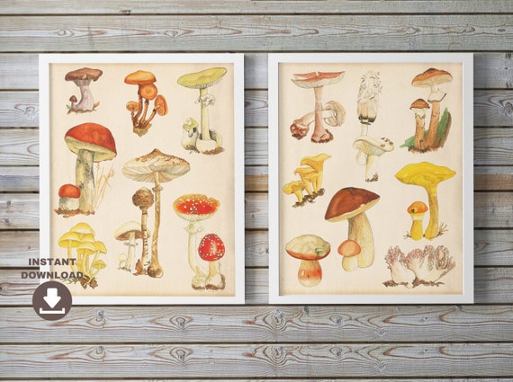 2 Printable Cottagecore Decor Vintage Mushrooms Drawings. | Etsy