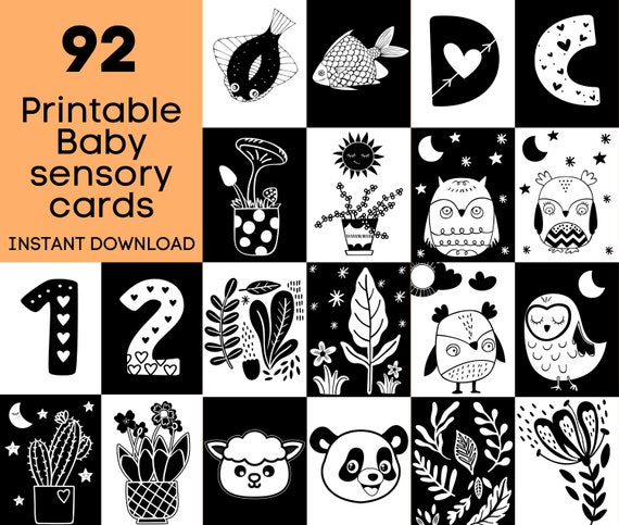 Baby sensory best sale bundle
