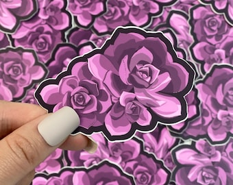 Succulent Sticker - Pink