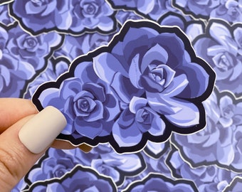 Succulent Sticker - Blue