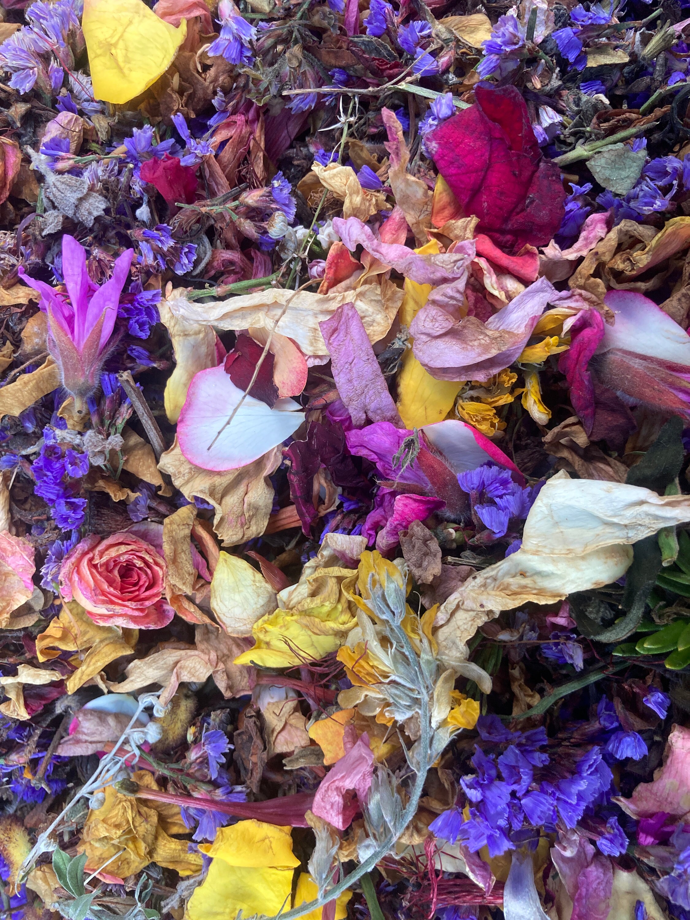 100gm Dried Flower Petals Potpourri Etsy