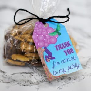 May include: A cellophane bag filled with cookies, tied with black twine, and a blue tag. The tag says "THANK YOU for coming to my party" with a purple grape design and a monkey illustration.