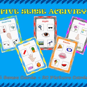 5 Senses Learning Activity, Five Senses Sorting Activity, Homeschool Preschool Printables, Human Body Worksheets, Five Senses Educational