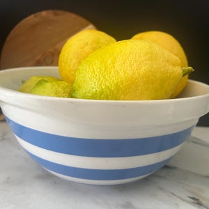 May include: A white ceramic mixing bowl featuring two horizontal blue stripes around the exterior. The bowl is filled with several bright yellow lemons, showcasing their textured rinds and oval shapes, creating a clear contrast against the white bowl.