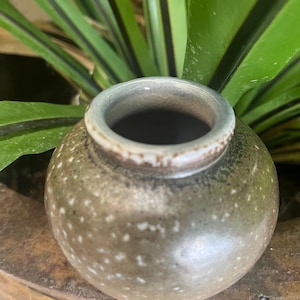 May include: A small, round, speckled ceramic pot with a wide opening. The pot is a muted brown colour with white speckles and a light blue rim. The pot is in front of a green plant.