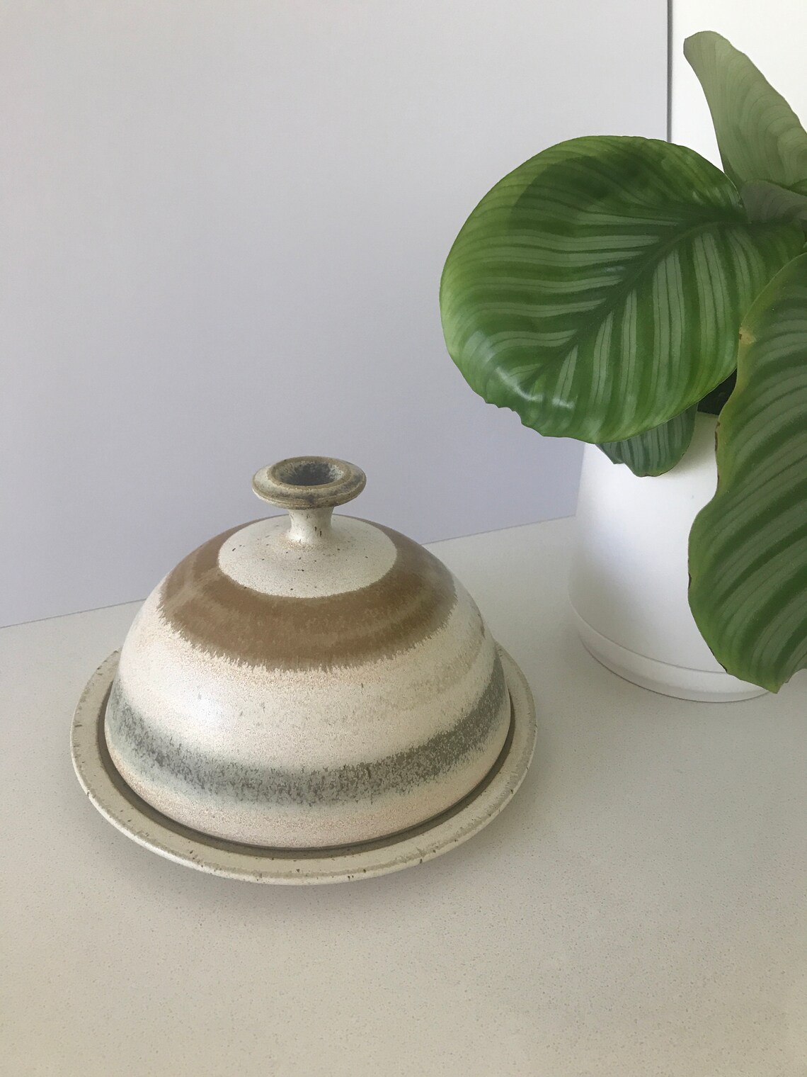Vintage Australian Pottery Cheese Dome Boho Vintage Pottery Etsy