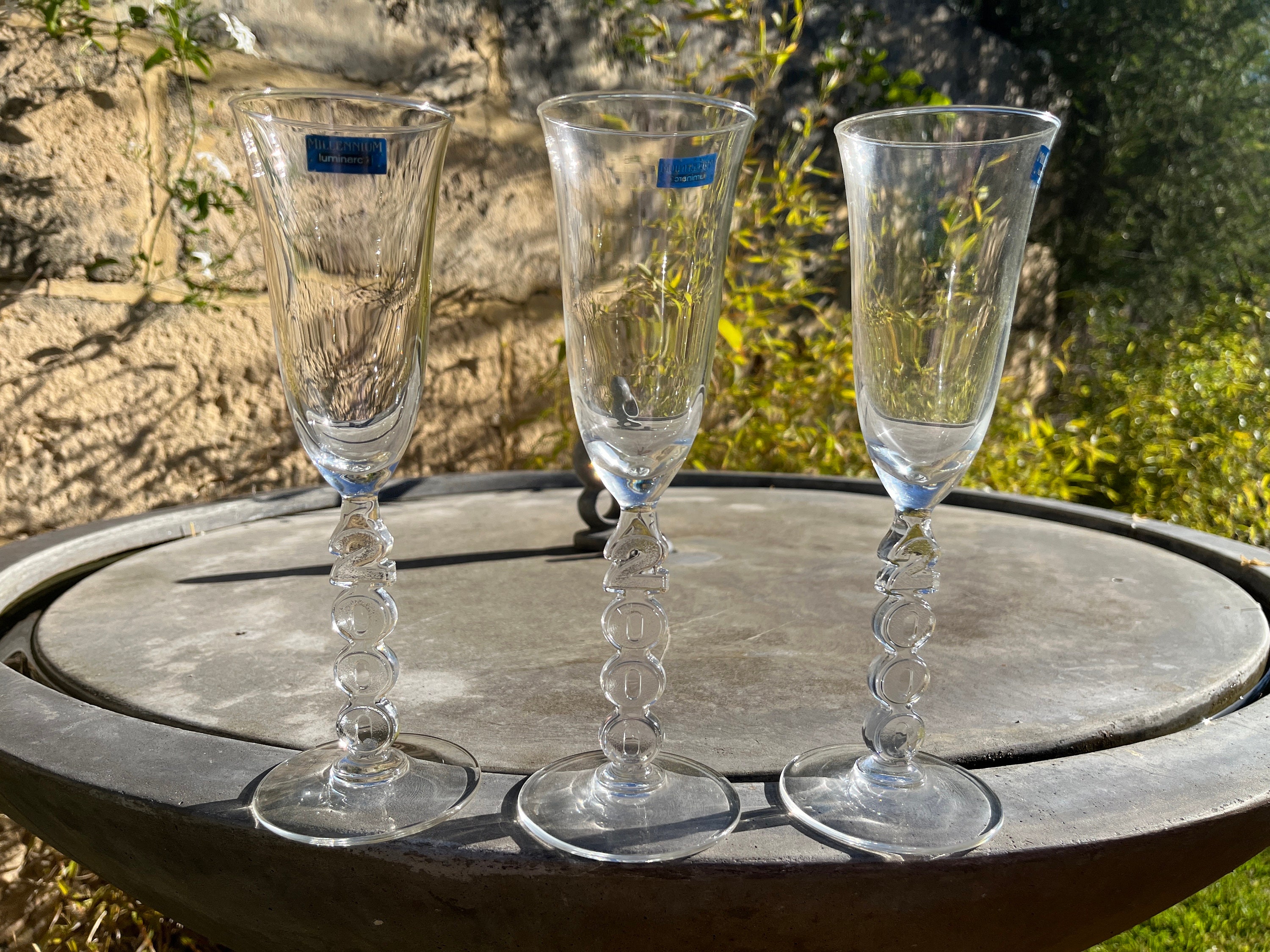 DYRGRIP flûte à champagne, verre transparent, 25 cl