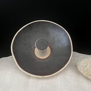 May include: A ceramic mushroom-shaped bottle stopper. The stopper has a dark gray, textured cap with a white rim and a light gray stem. The stopper is sitting on a white cloth.