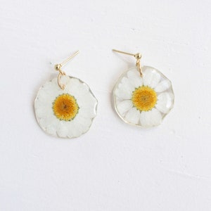 Handmade daisy earrings, Dried daisy dangle earrings, Pressed flower earrings, Spring earrings, Daisy hoop earrings, Earrings Gold Plating image 1