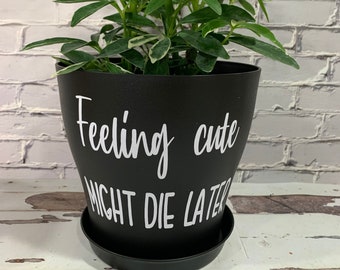 May include: Black plant pot with white text that reads "Feeling cute might die later".
