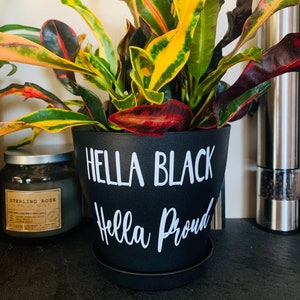 May include: A black plant pot with the words "Hella Black Hella Proud" written in white. The pot is filled with a green and yellow plant with red accents.