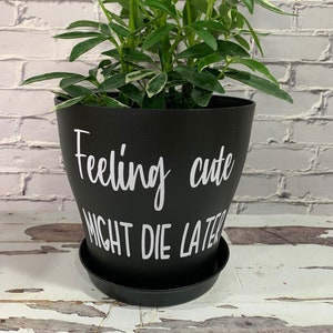 May include: Black plant pot with white text that reads "Feeling cute might die later".