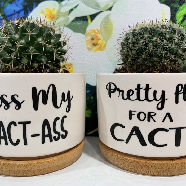 Kiss my cact-ass or Pretty fly for a cacti white 3.15 inch cactus succulent ceramic planter