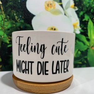 May include: White ceramic planter with a bamboo base. The planter has black text that reads "Feeling cute might die later."