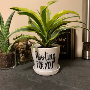 May include: A collection of potted plants, including a snake plant and a Dracaena, arranged on a dark surface. The Dracaena is in a white pot with the words "Rooting FOR YOU" in black. Two stainless steel grinders are visible.