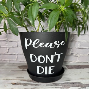 May include: A black plant pot with the words "please DON'T DIE" in white lettering. The pot is filled with a green leafy plant and sits on a matching black saucer. The background is a white brick wall.