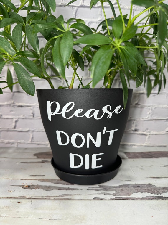 Please Don't Die 6 Inch Plastic Planter - Etsy