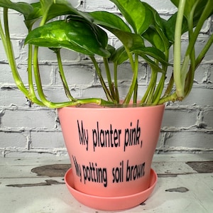 May include: A pink planter with the text "My planter pink, My potting soil brown" on it. A green plant is growing in the planter.