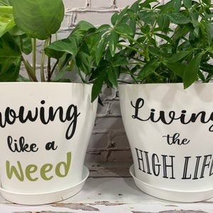 May include: Two white plant pots with black lettering. The pot on the left says "Growing like a weed" in black and green lettering. The pot on the right says "Living the high life" in black lettering.