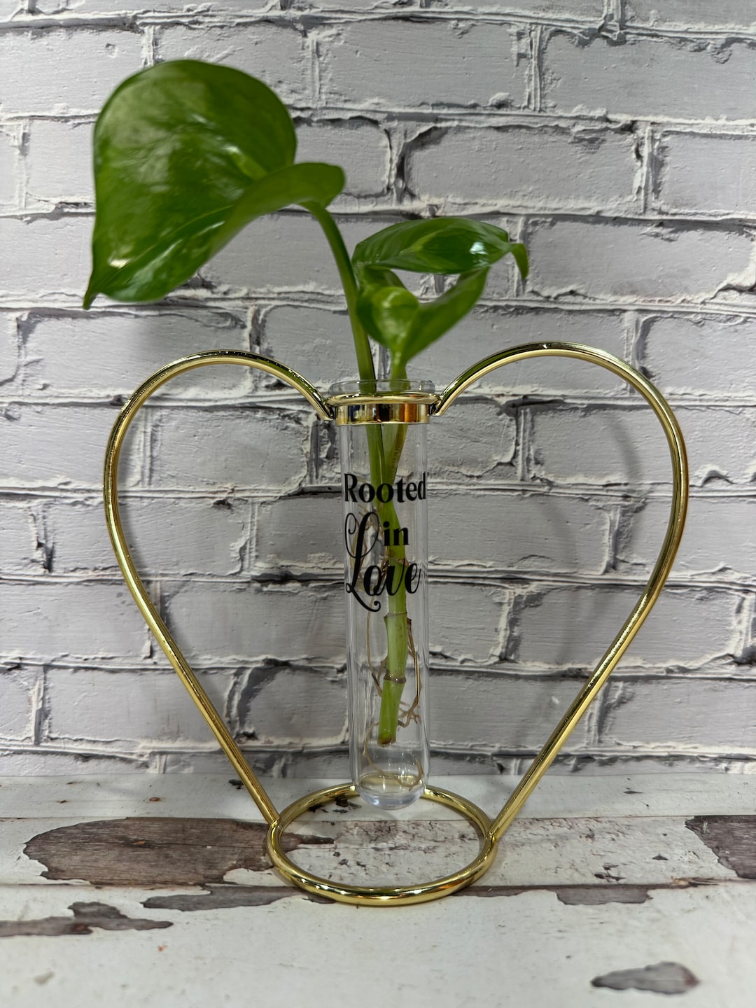Rooted in Love / Rooting for You Propagation Station for Plant Cuttings ...