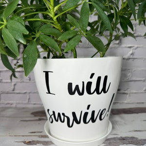 May include: White ceramic planter with a black inscription that reads "I will survive!" A green plant is growing in the planter.