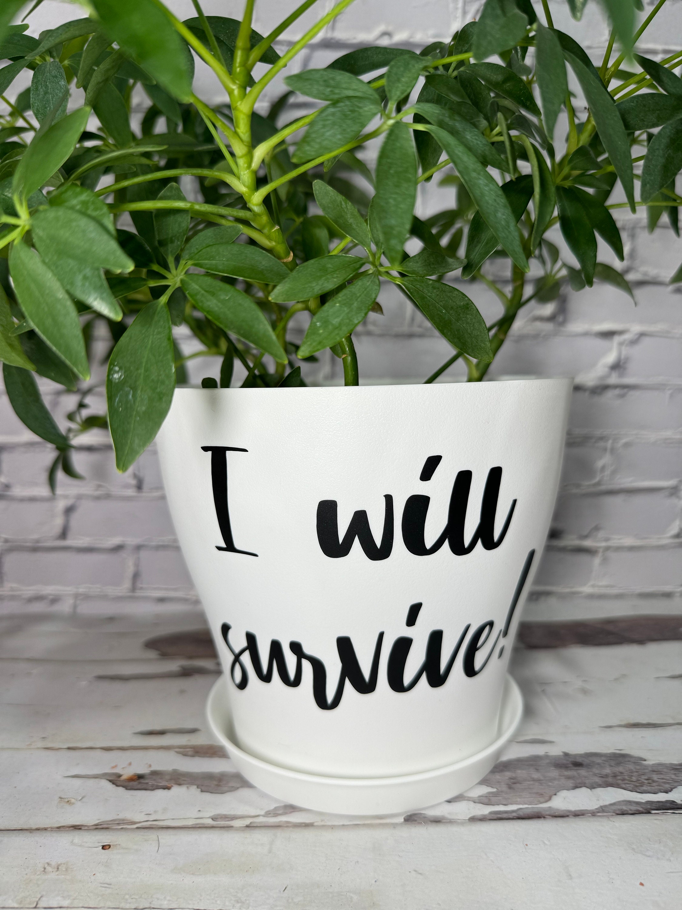 My Word! I Will Survive Standing Mini Planter Sign – 4x4 Inch Inspirational Garden Stake 77810
