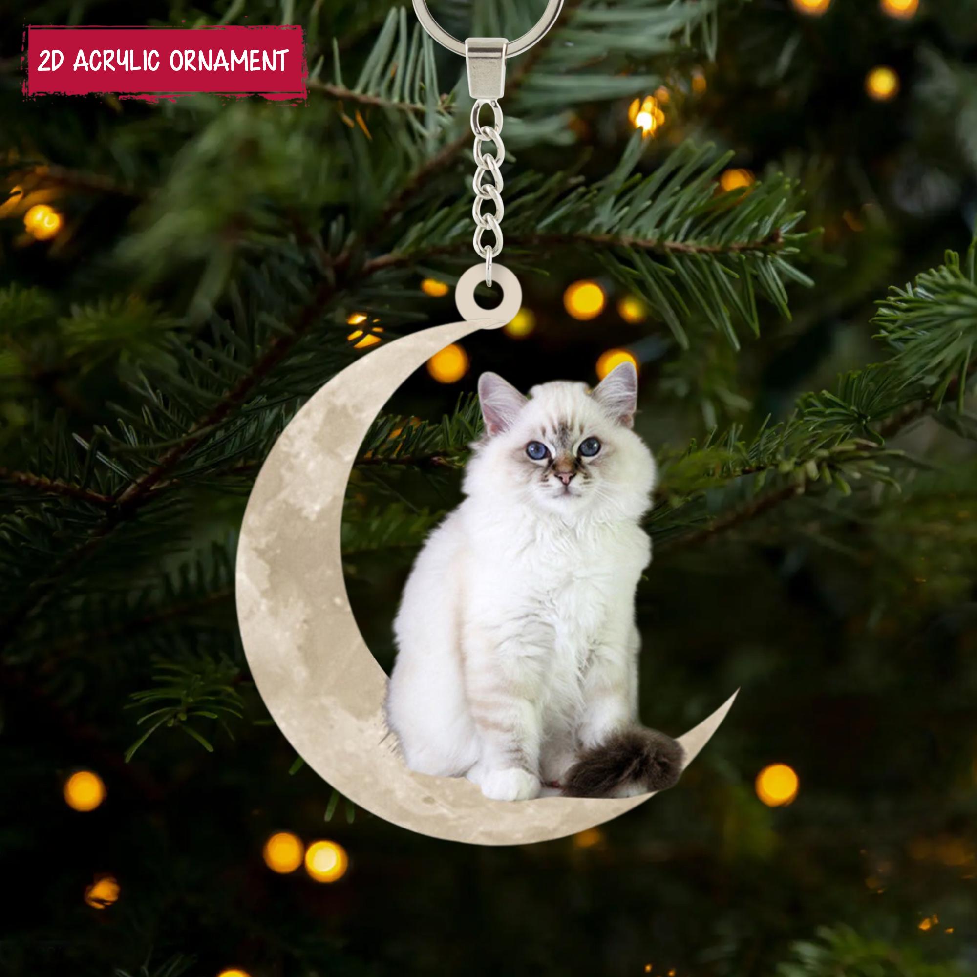 アスティエ　クリスマスオーナメント　猫 アスティエのクリスマスオーナメント : ちりめん戯縫