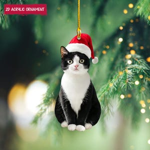 Tuxedo Cat With Christmas Gifts Meowmas - PNG Transparent Di - Inspire