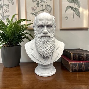 May include: A grey bust of a man with a long beard and suit jacket. The sculpture is on a round base. The bust is displayed on a wooden surface, with a potted fern and framed botanical prints in the background.