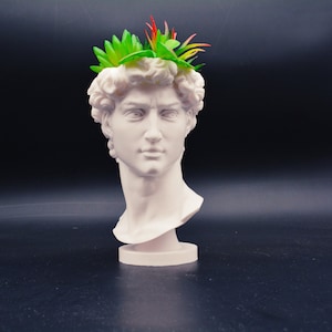 Head of David Vase - 3d printing