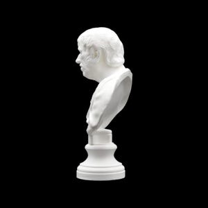 Bust of Seneca - 3D Print image 3