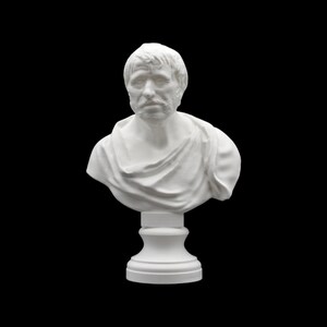 May include: A white bust of a man with a beard and short hair, wearing a draped garment. The sculpture is mounted on a pedestal and set against a black background. The bust is a classical art piece.