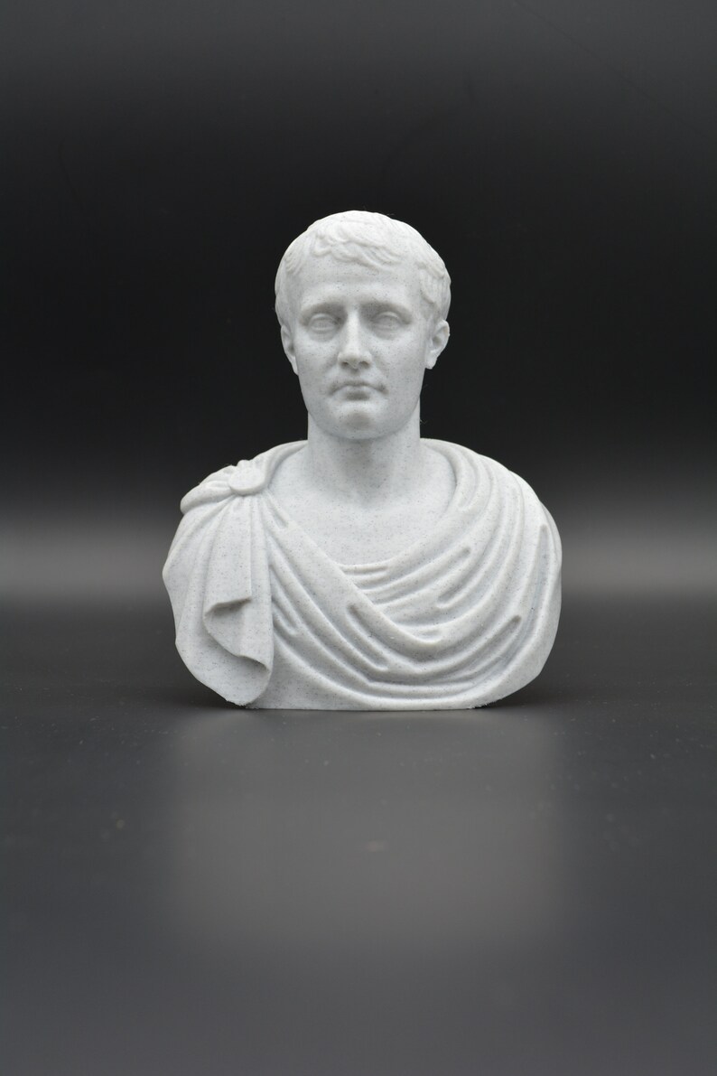 Puede incluir: Un busto de escultura blanca de un hombre con el pelo corto y una toga. La escultura est&aacute; hecha de un material blanco liso y tiene una cara detallada.