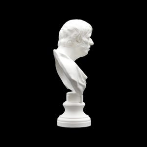 Bust of Seneca - 3D Print image 6