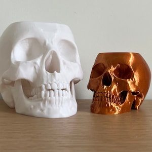 Peut inclure: Deux pots de fleurs en forme de crâne, l'un blanc et l'autre en cuivre. Le plus grand pot de fleurs en forme de crâne est blanc et le plus petit est en cuivre.