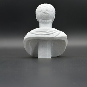 Puede incluir: Busto de yeso blanco de una persona con el pelo corto, visto desde atr&aacute;s. El busto est&aacute; sobre un fondo gris liso.