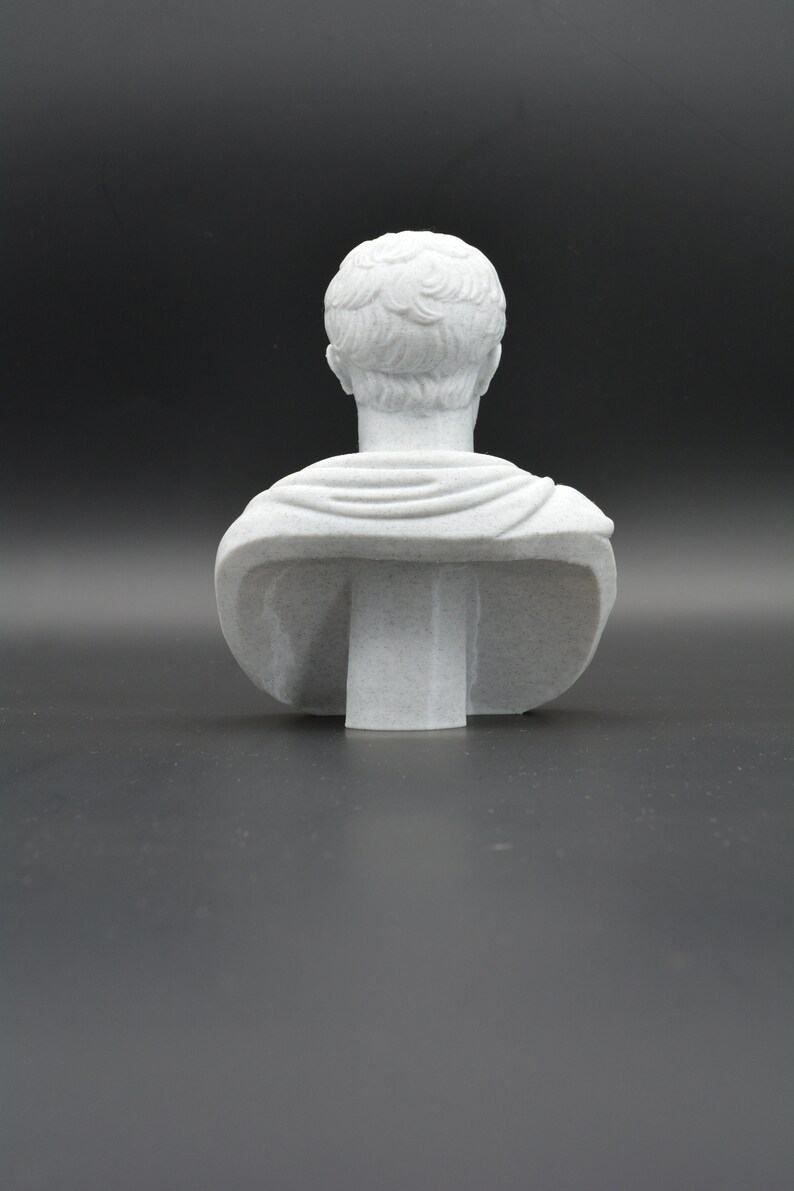 Puede incluir: Busto de yeso blanco de una persona con el pelo corto, visto desde atr&aacute;s. El busto est&aacute; sobre un fondo gris liso.