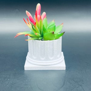 Op de afbeelding: Een kleine succulent met groene bladeren en rode toppen die groeit in een witte keramische pot in de vorm van een kolom.