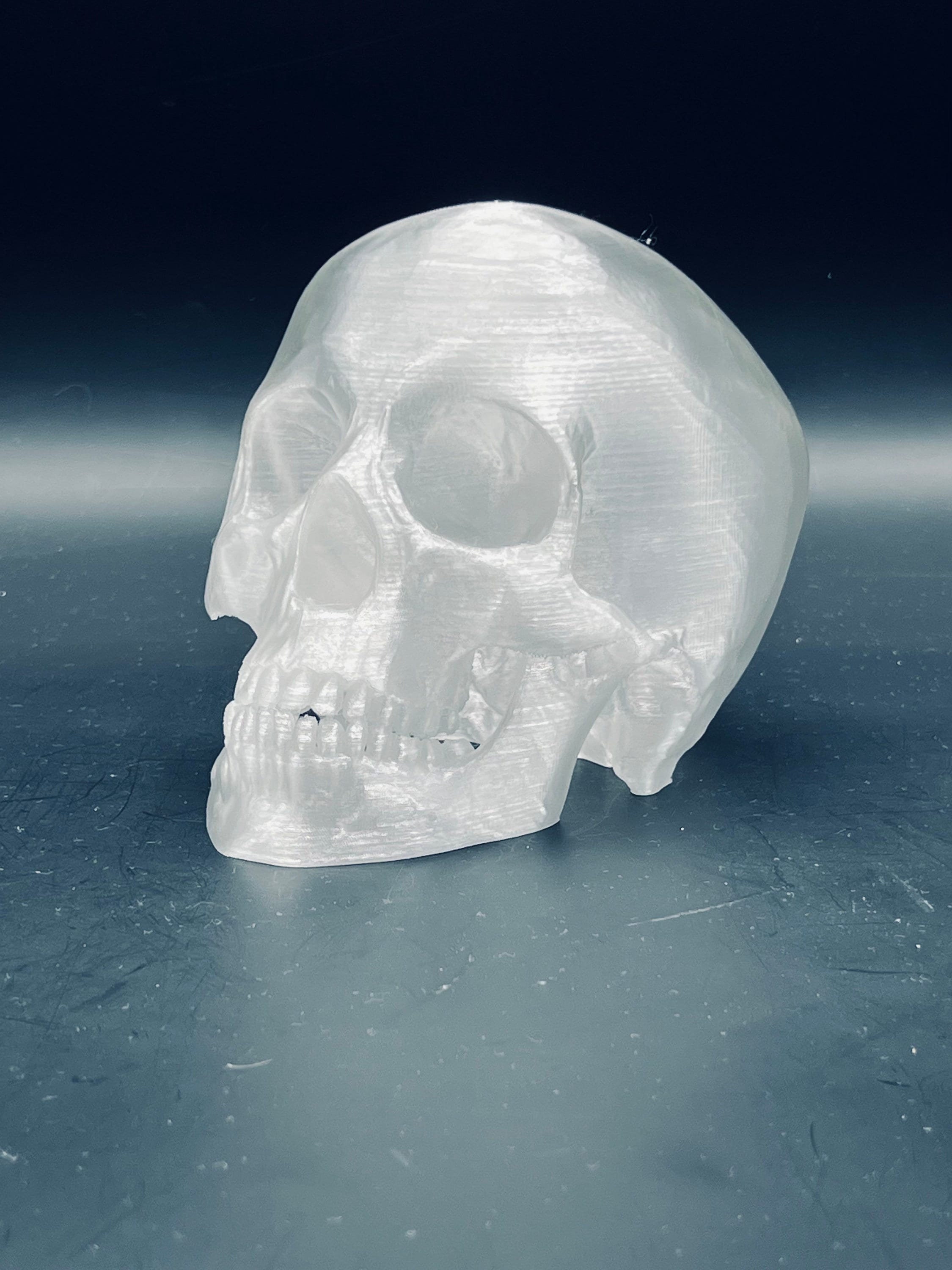 Crâne en cristal de roche modèle moyen